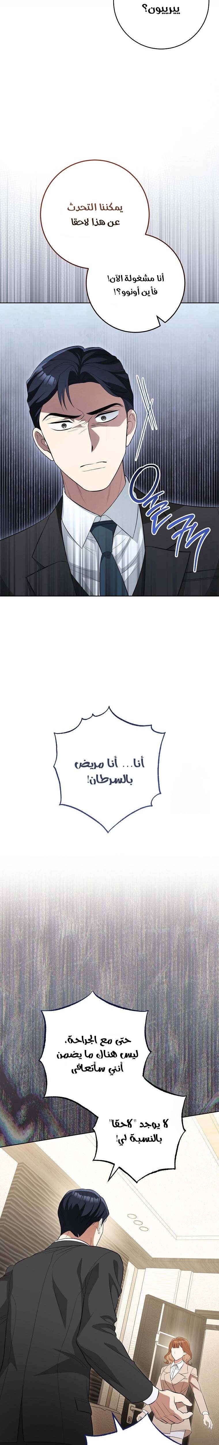 الصفحة 19