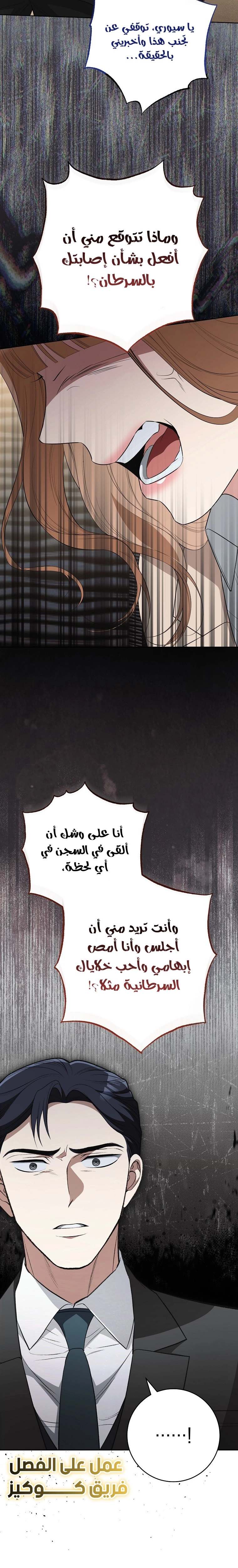 الصفحة 20