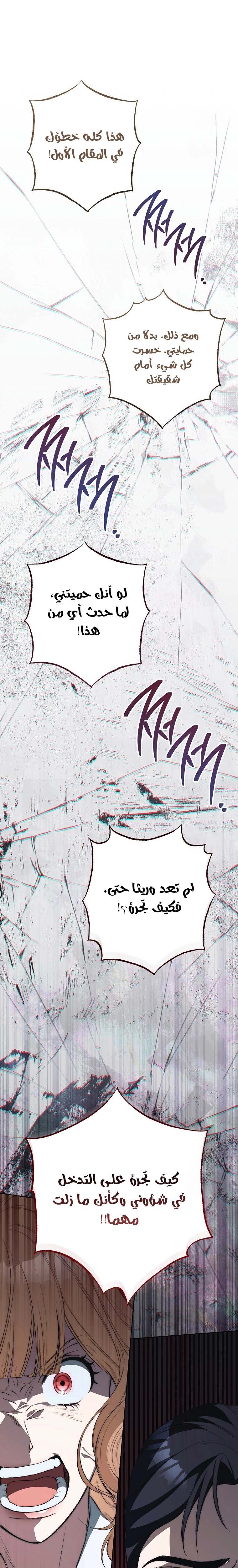 الصفحة 21