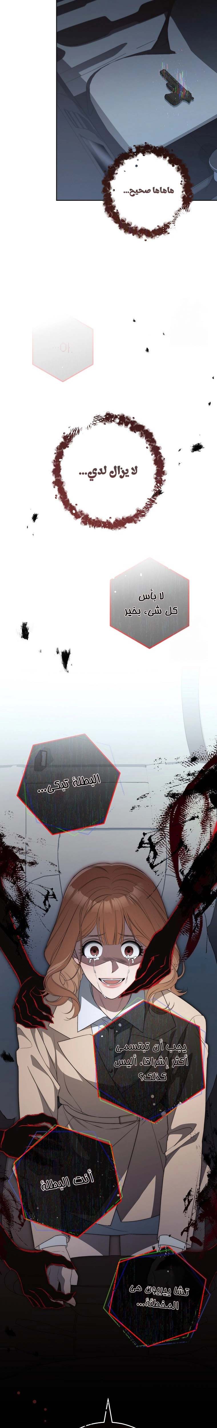 الصفحة 29