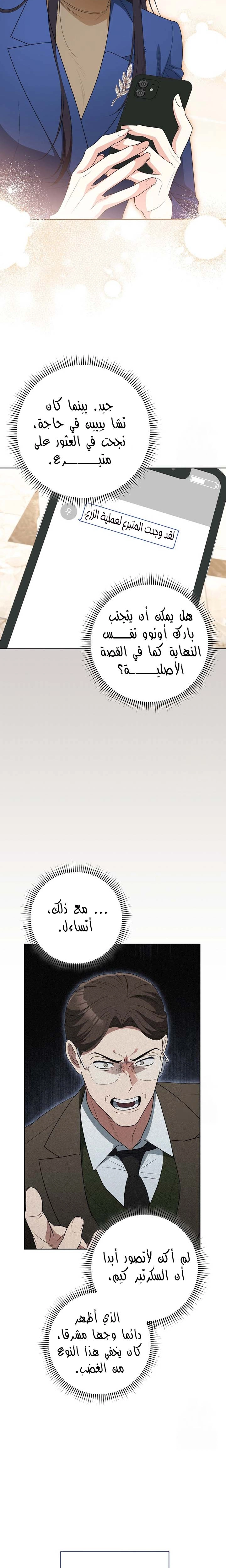 الصفحة 28