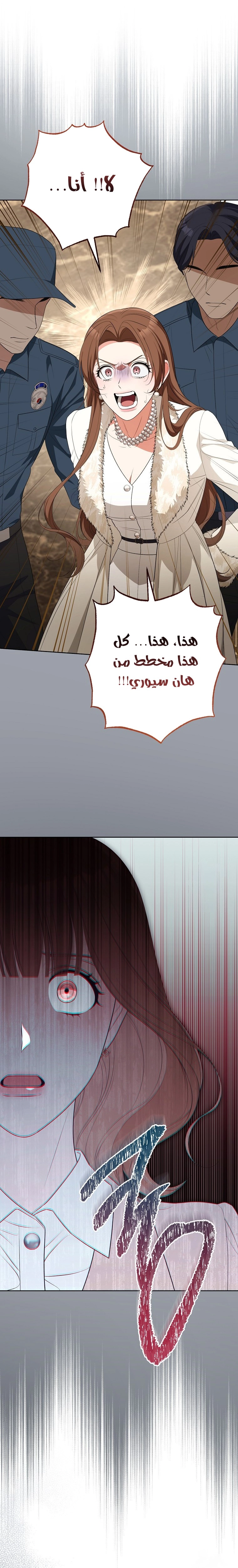 الصفحة 17