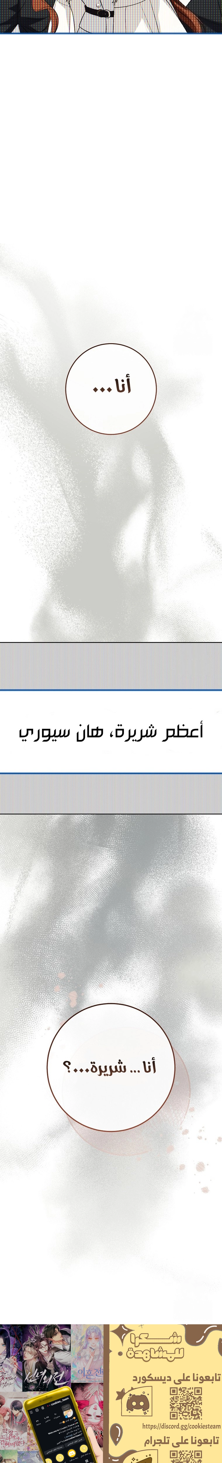 الصفحة 29