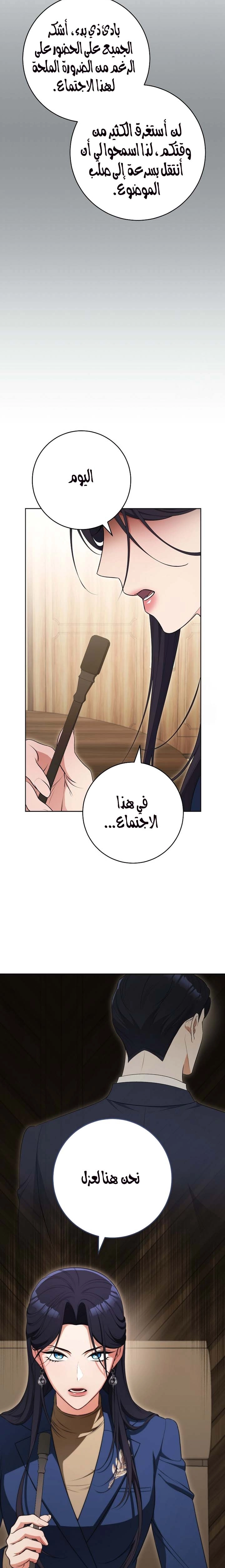 الصفحة 17