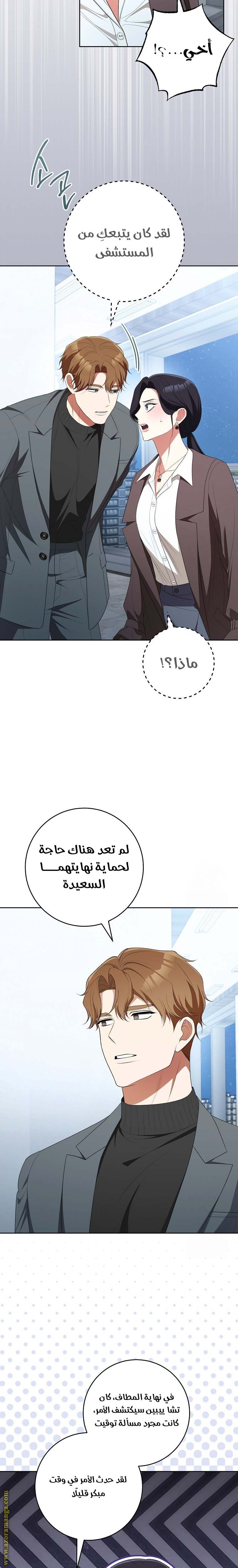 الصفحة 17