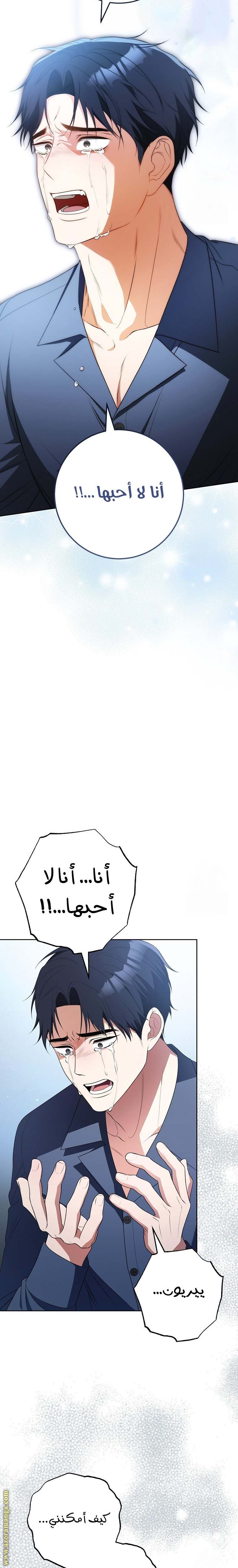 الصفحة 28