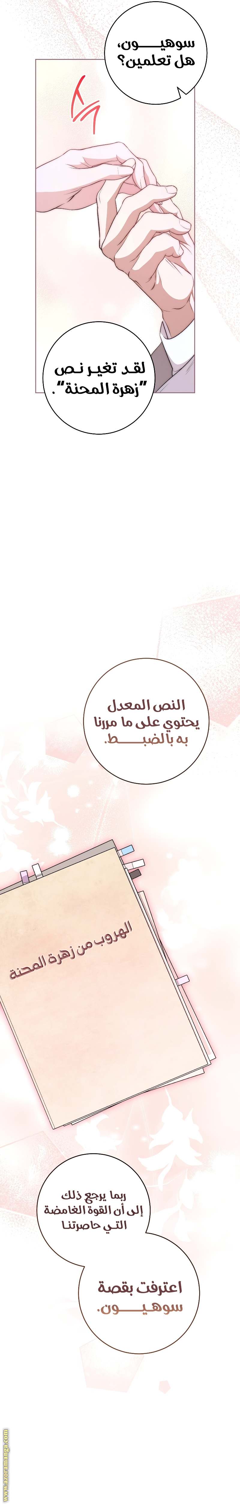 الصفحة 26