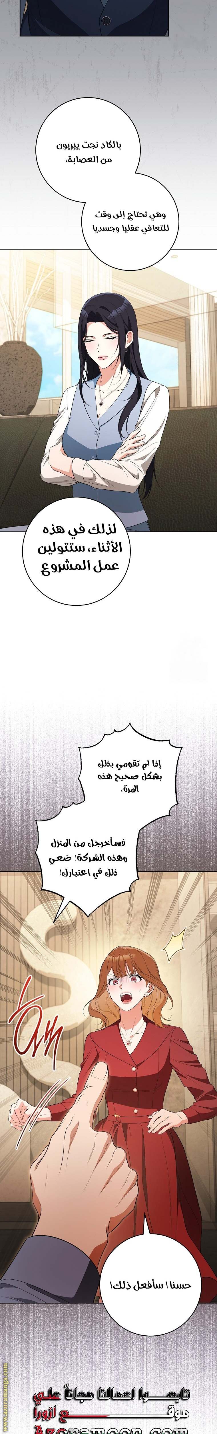 الصفحة 17