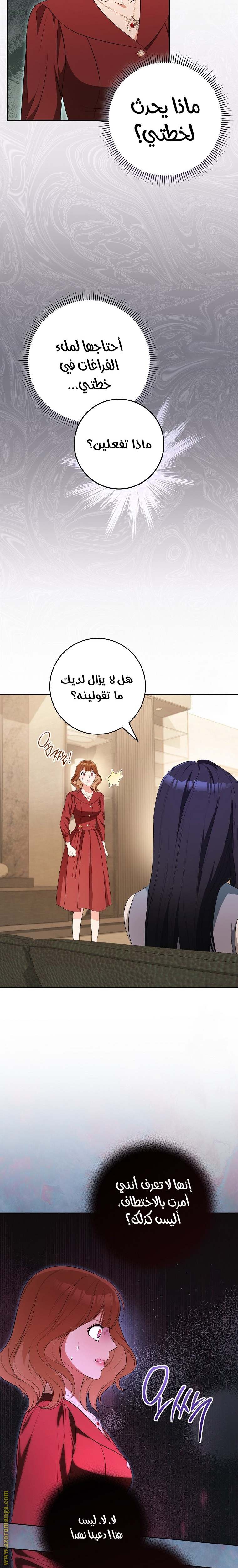 الصفحة 19