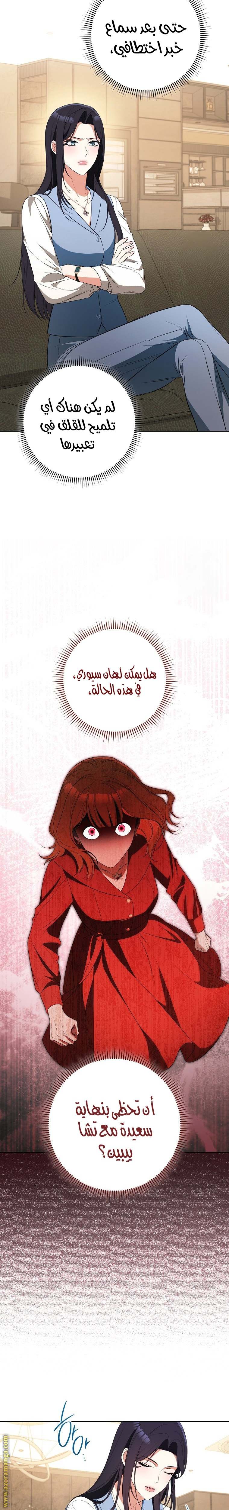 الصفحة 25