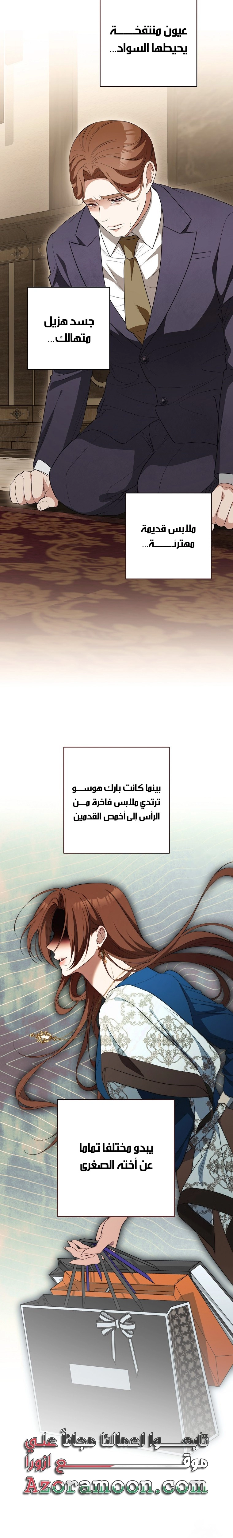 الصفحة 17