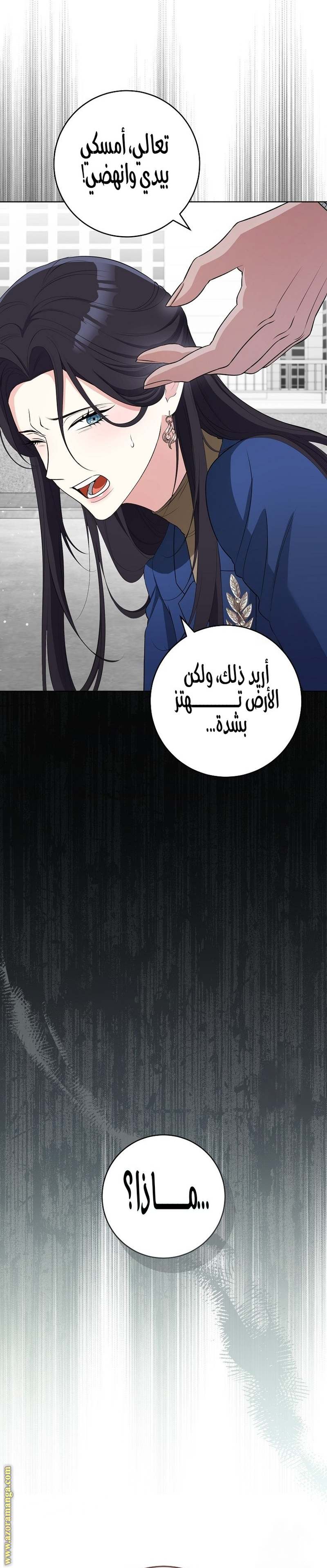 الصفحة 17