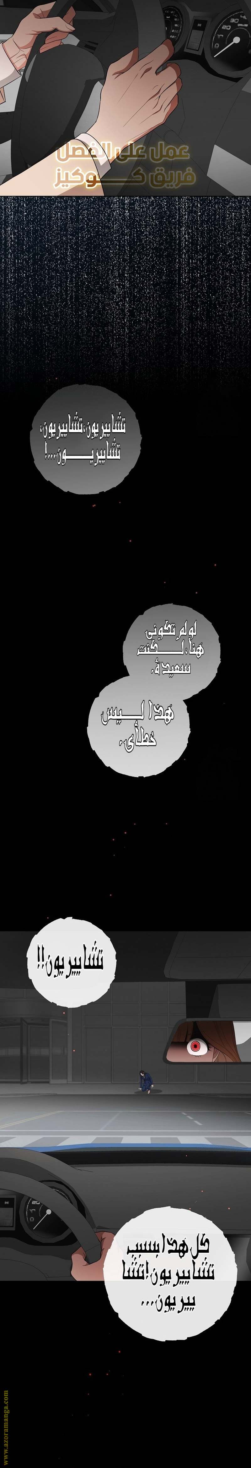 الصفحة 25