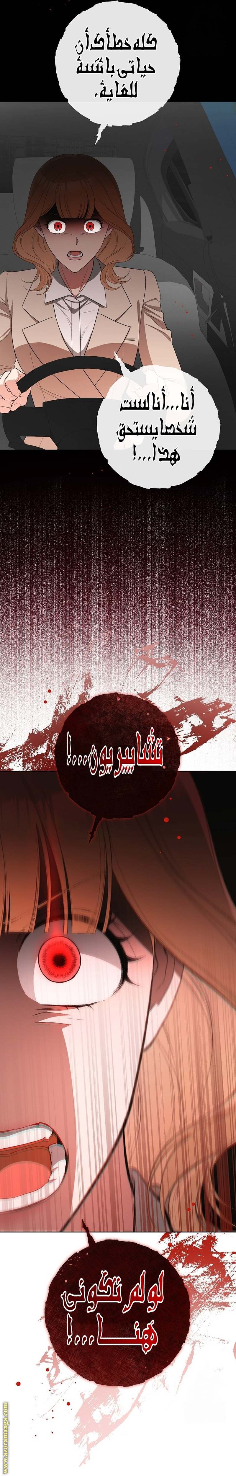 الصفحة 26