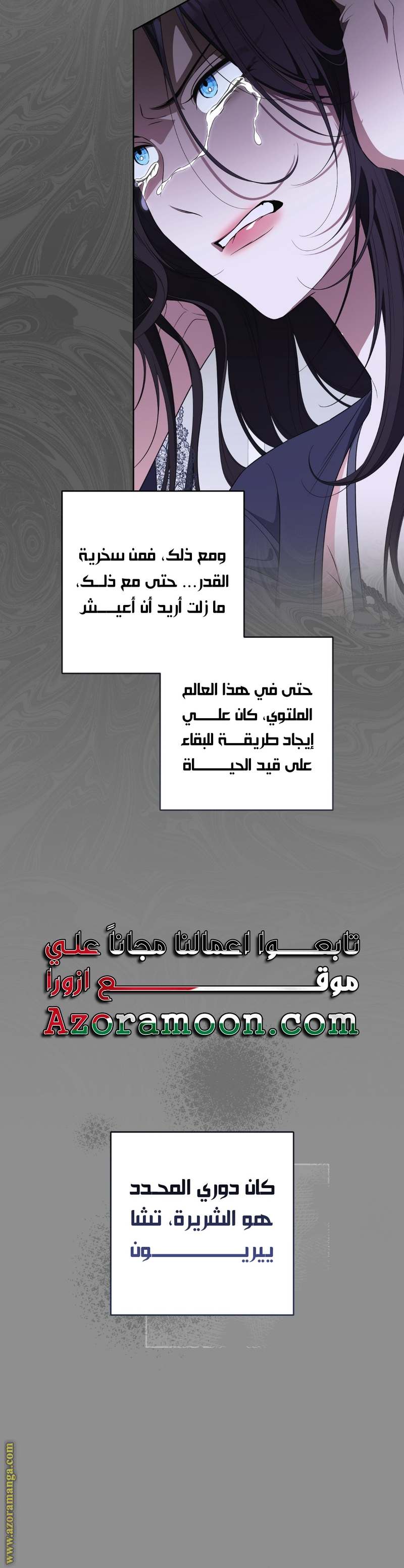 الصفحة 24