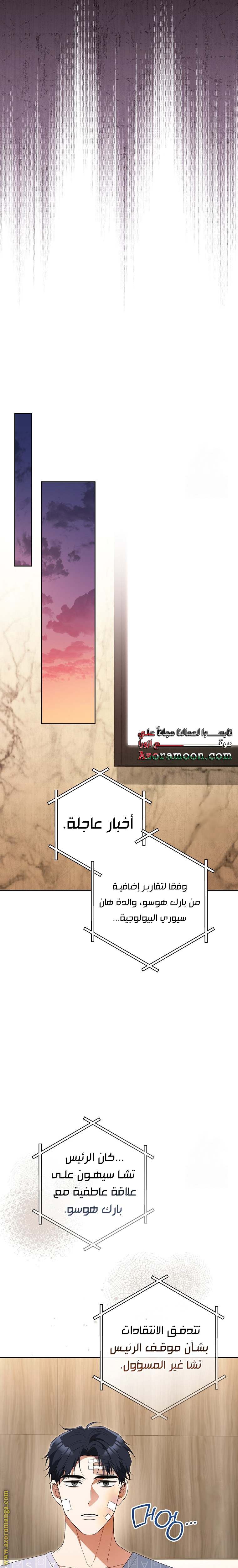 الصفحة 13