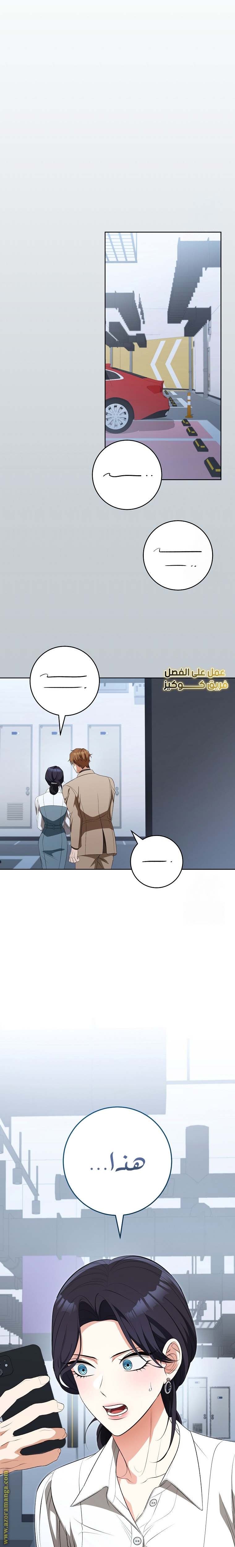 الصفحة 29