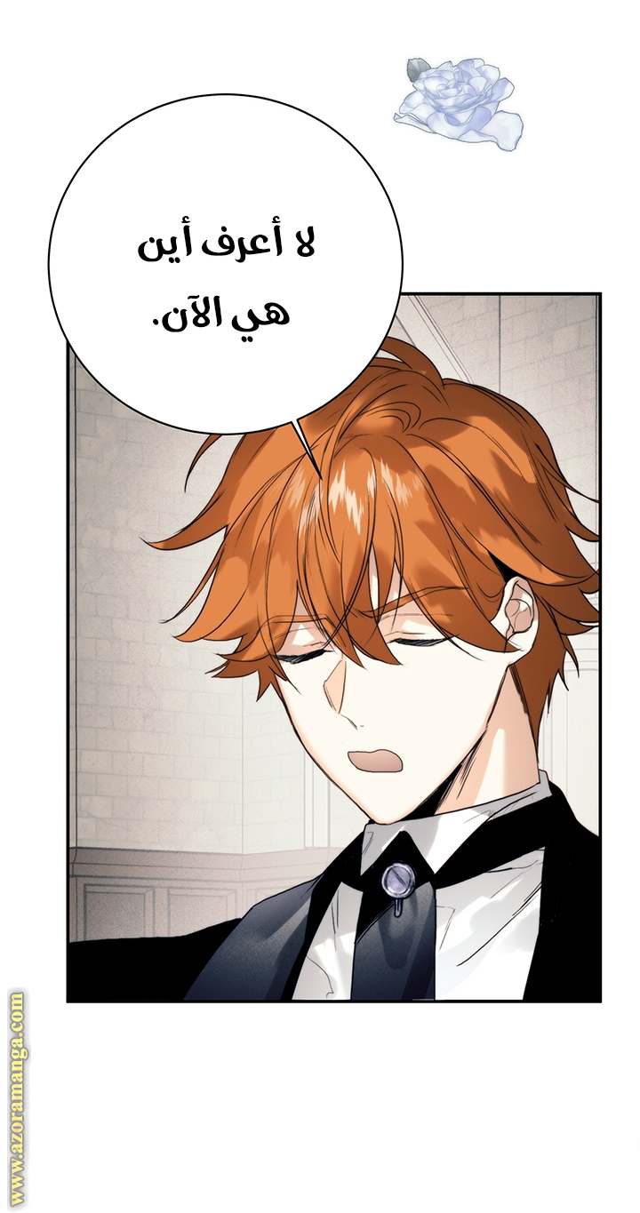 الصفحة 25