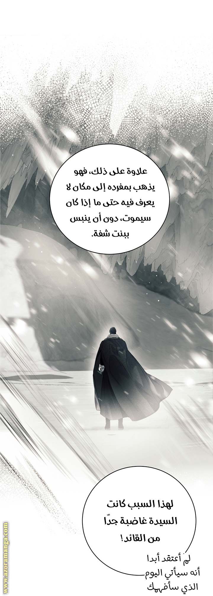 الصفحة 29