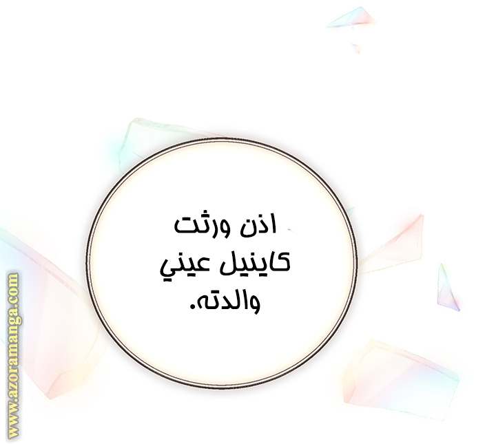 الصفحة 20
