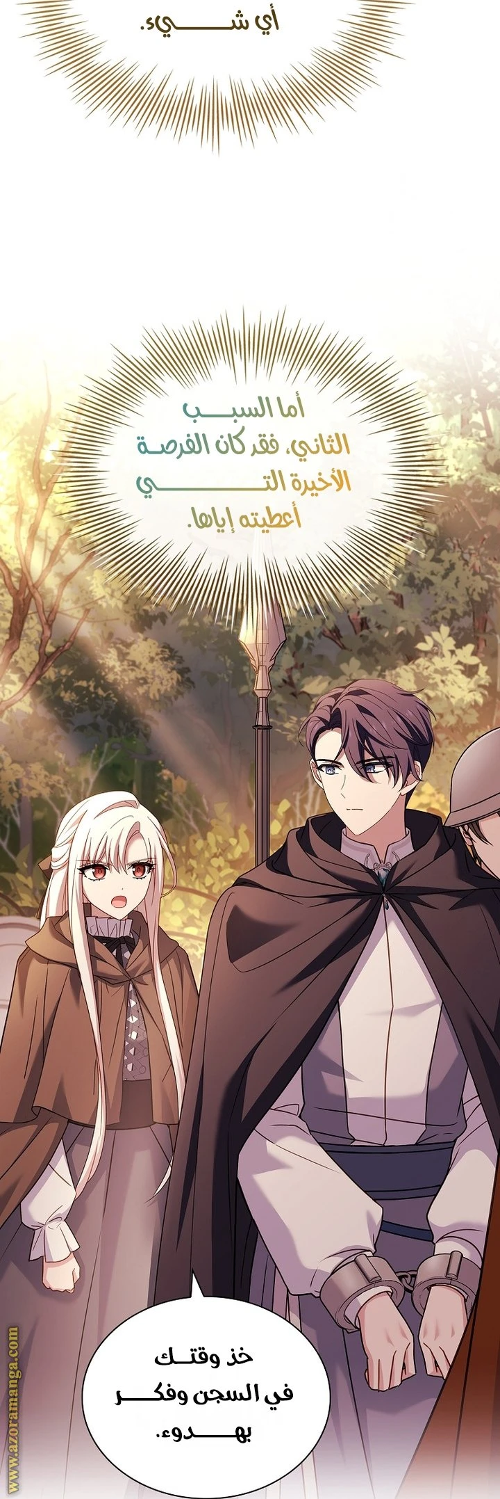 الصفحة 21