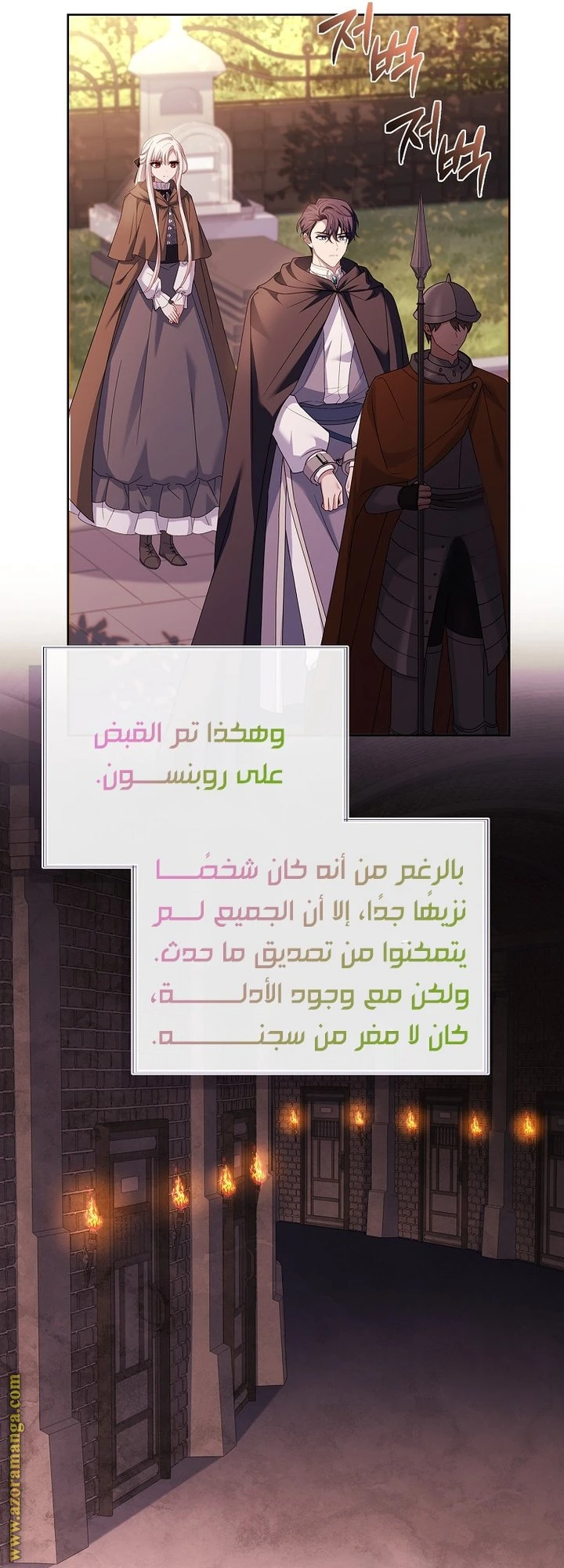 الصفحة 25