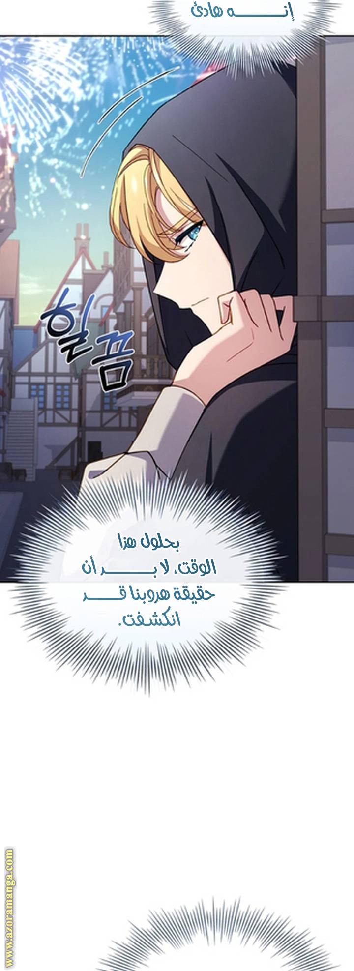 الصفحة 31