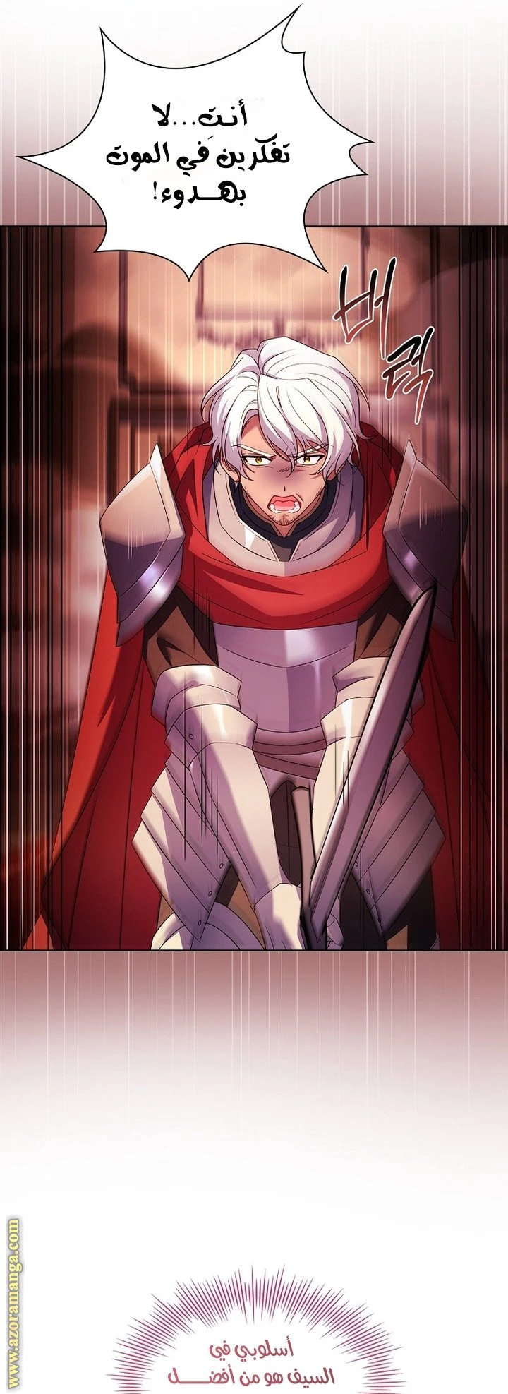 الصفحة 17