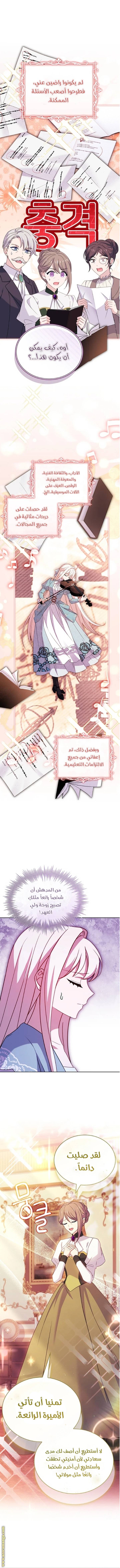 الصفحة 7