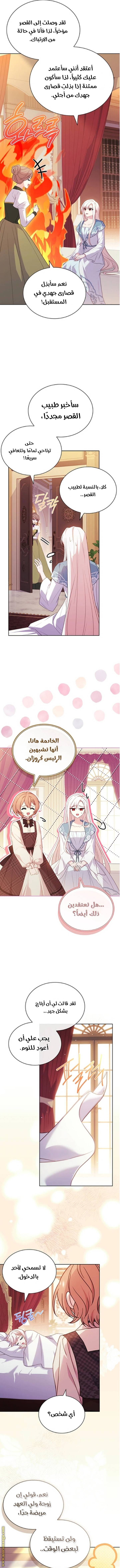الصفحة 11