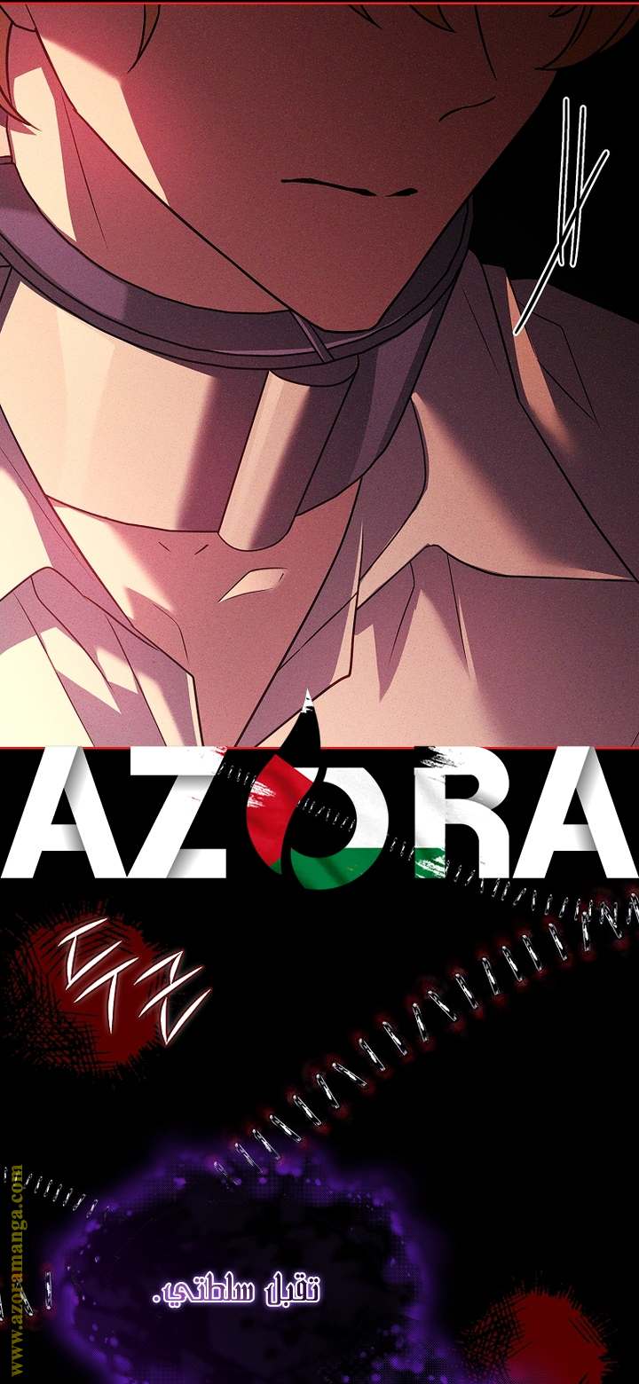 الصفحة 24