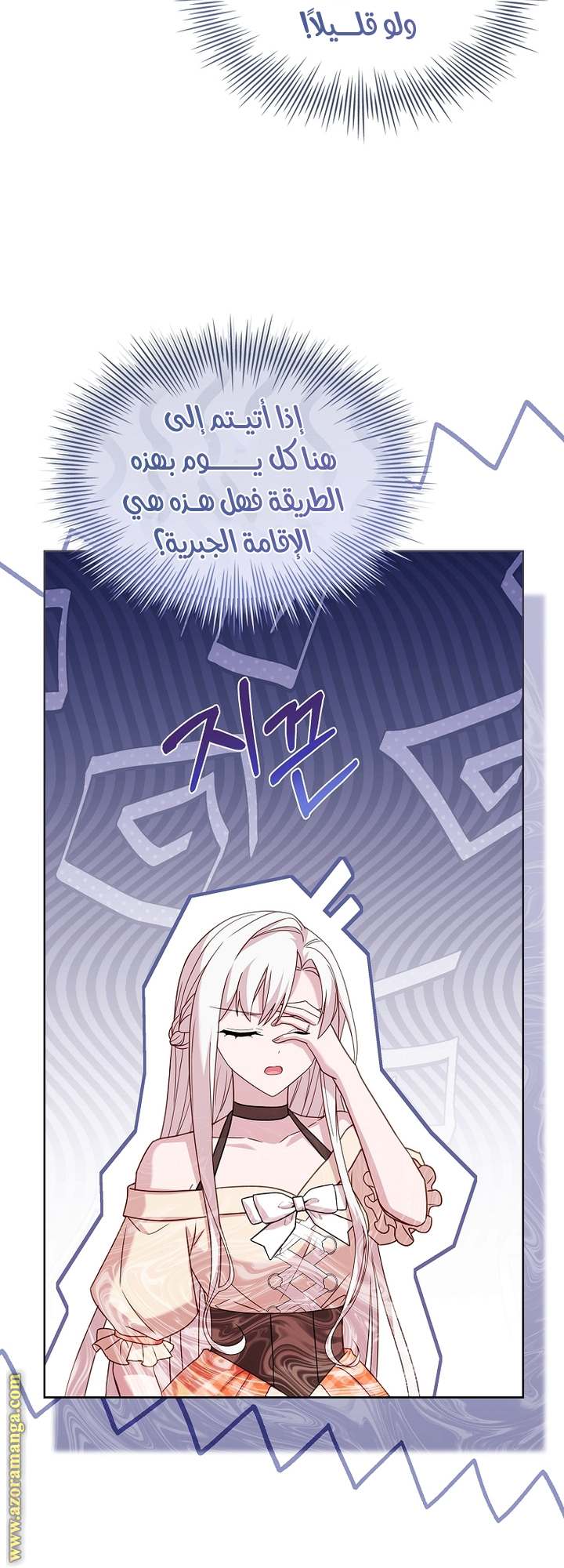 الصفحة 17