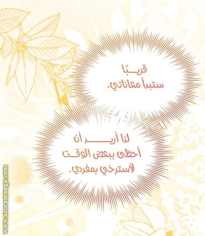 الصفحة 28