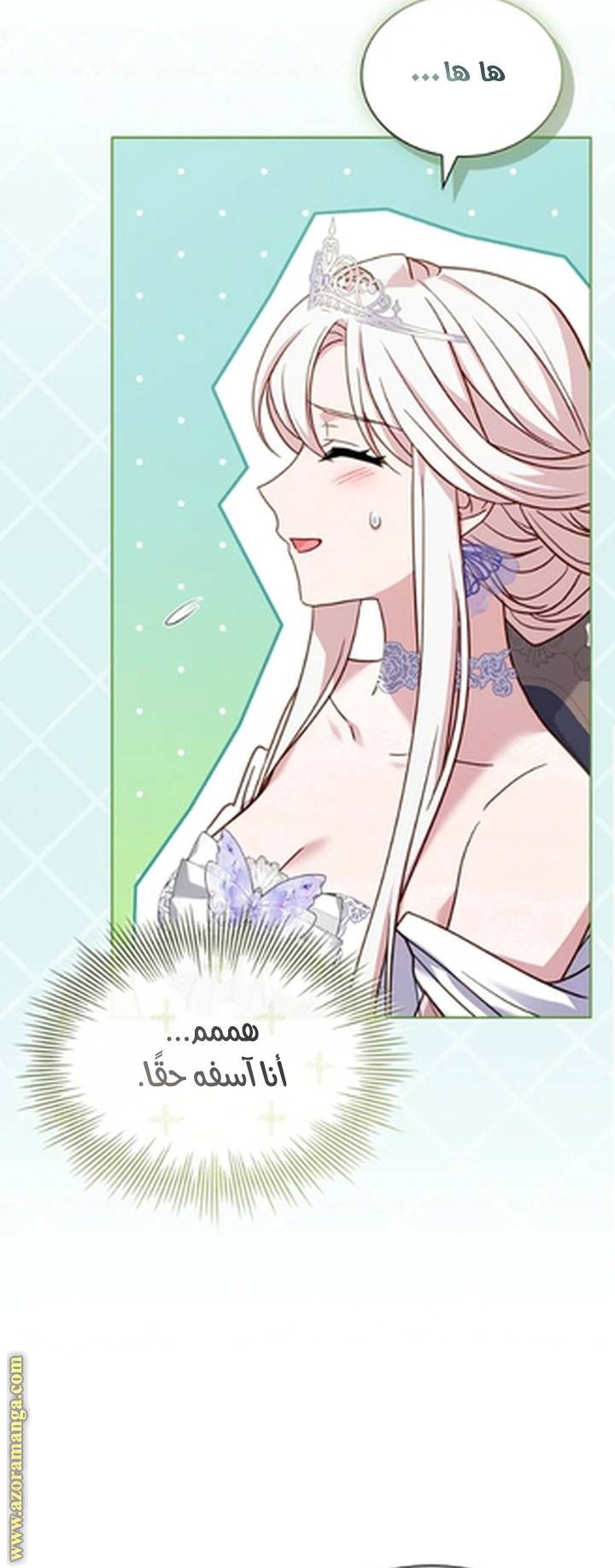 الصفحة 24