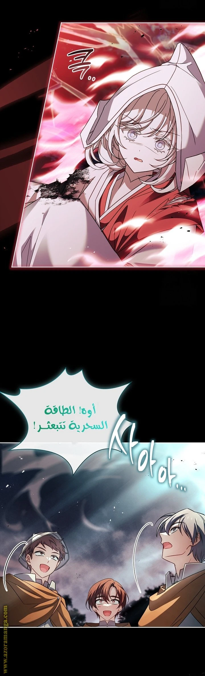 الصفحة 13