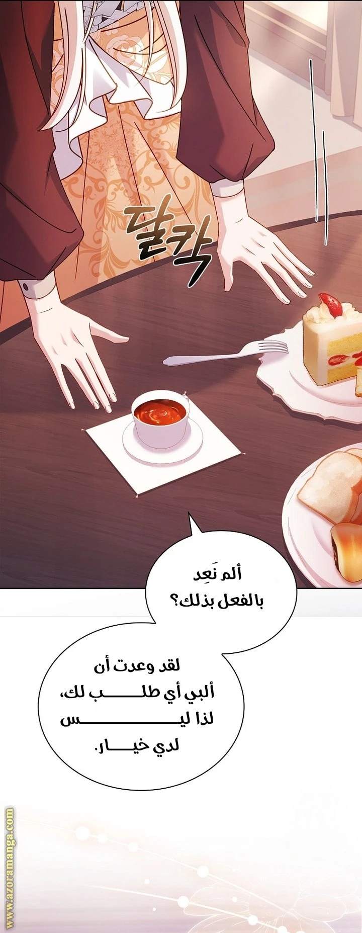 الصفحة 13