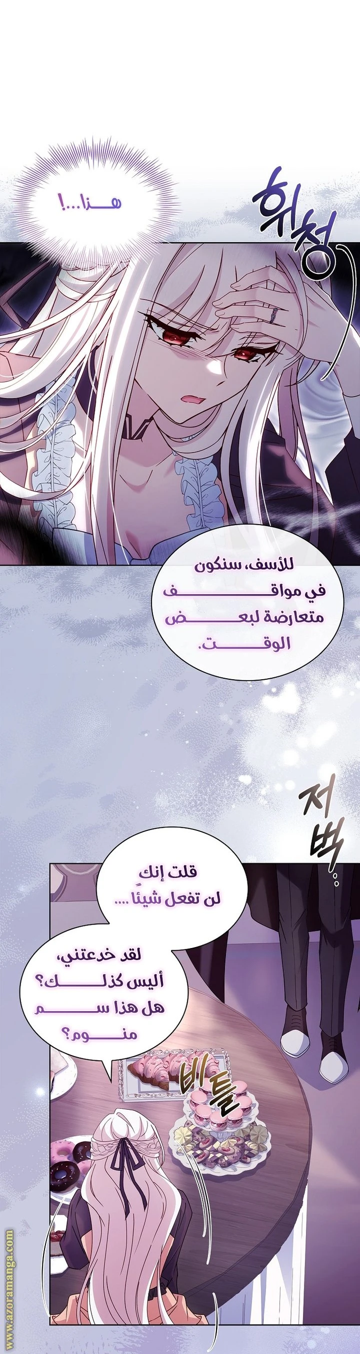 الصفحة 17