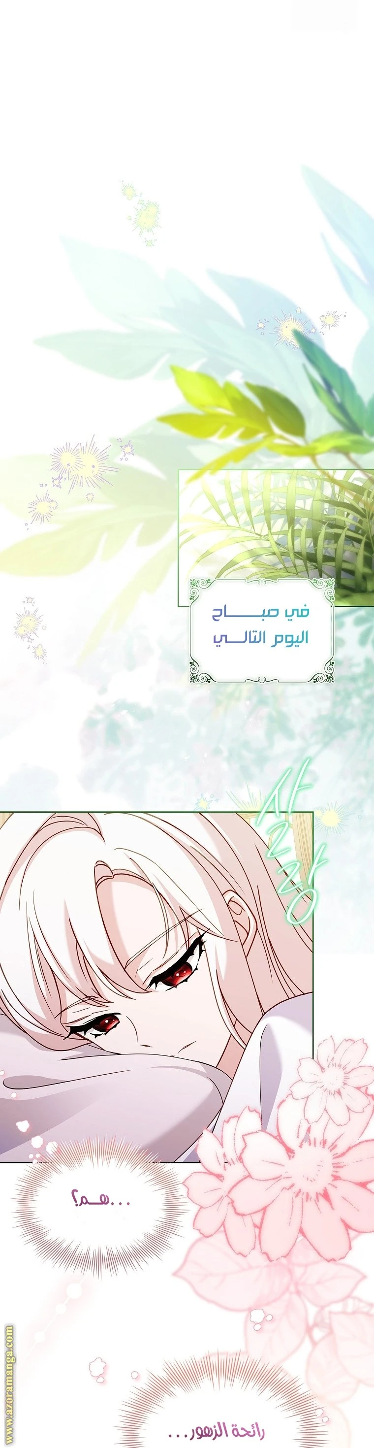 الصفحة 25