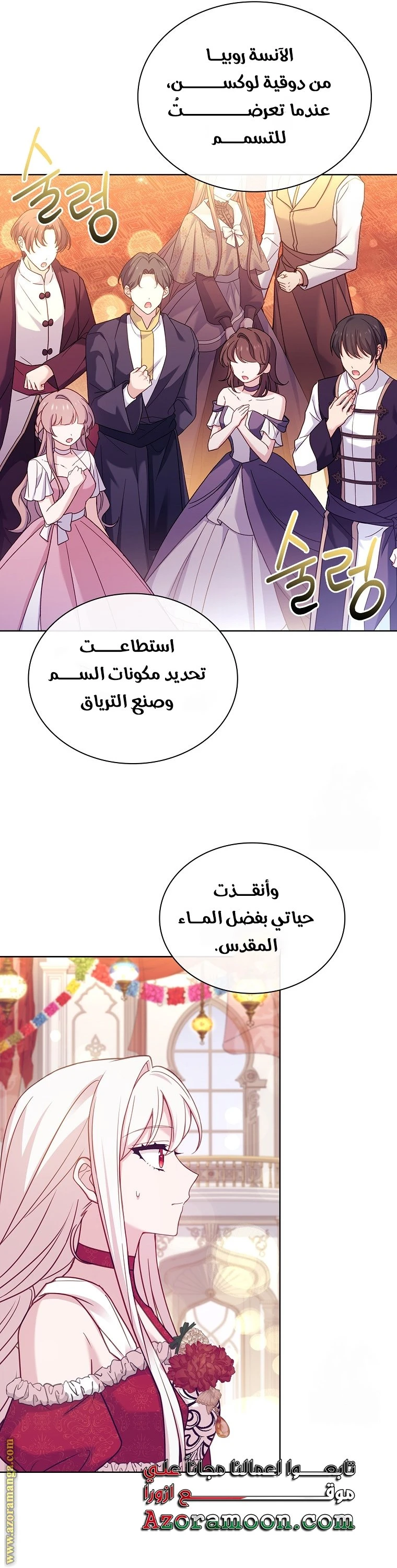 الصفحة 17