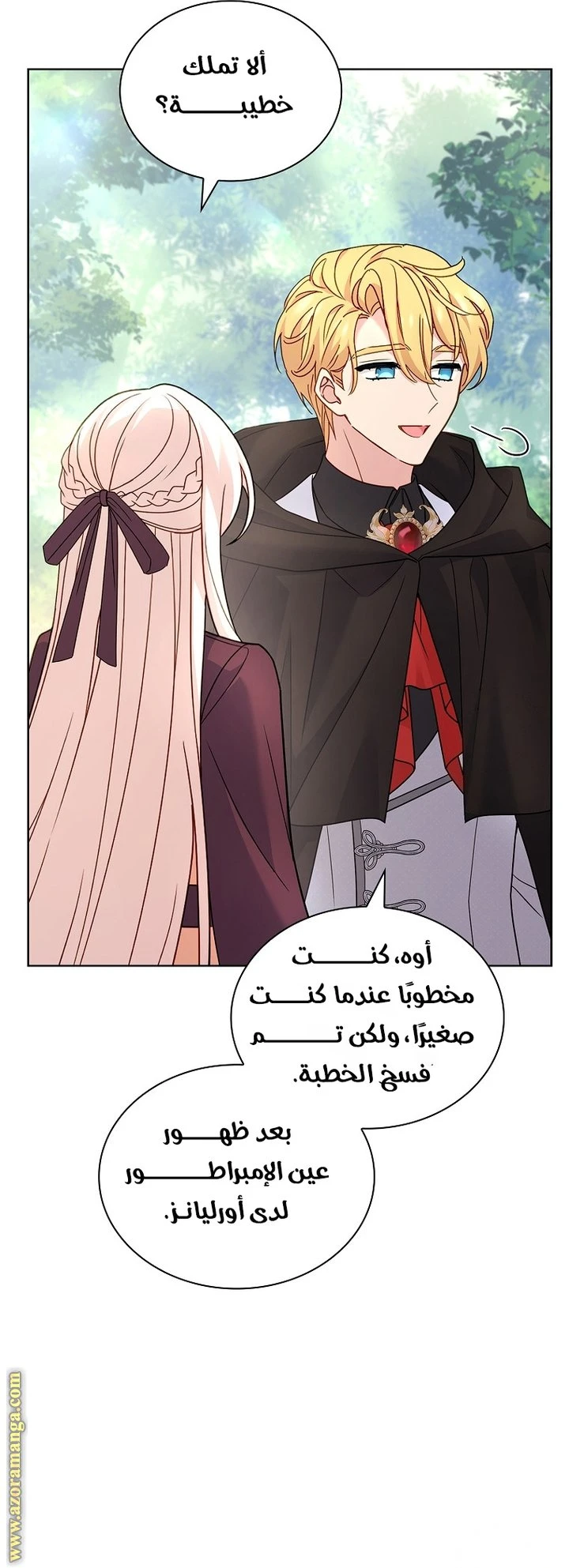 الصفحة 30
