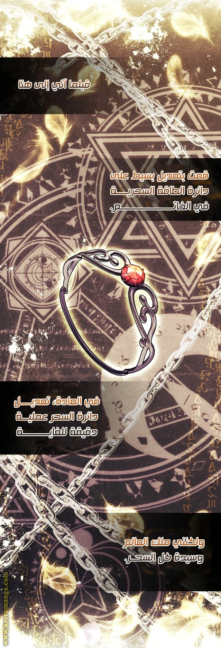 الصفحة 46
