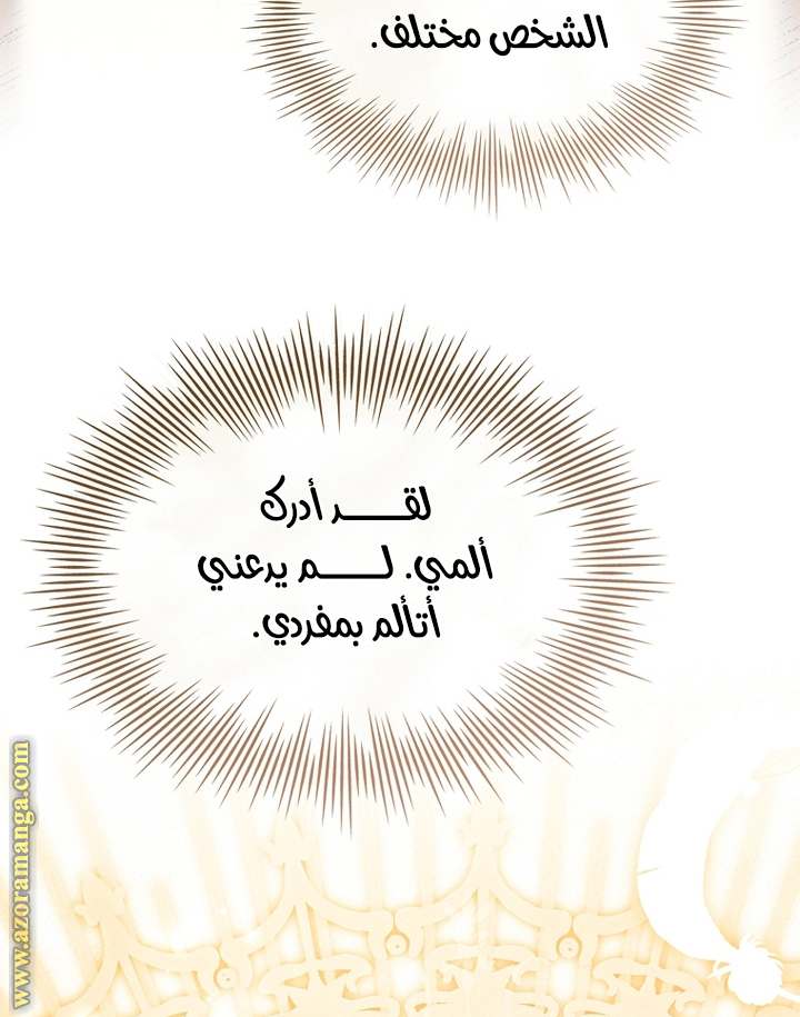 الصفحة 52