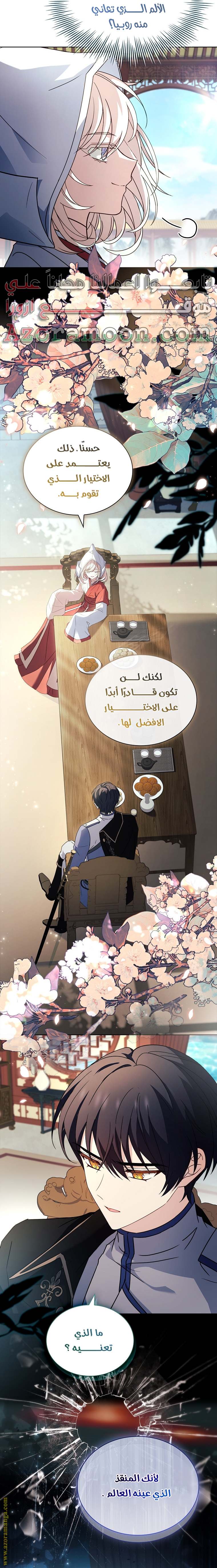 الصفحة 31