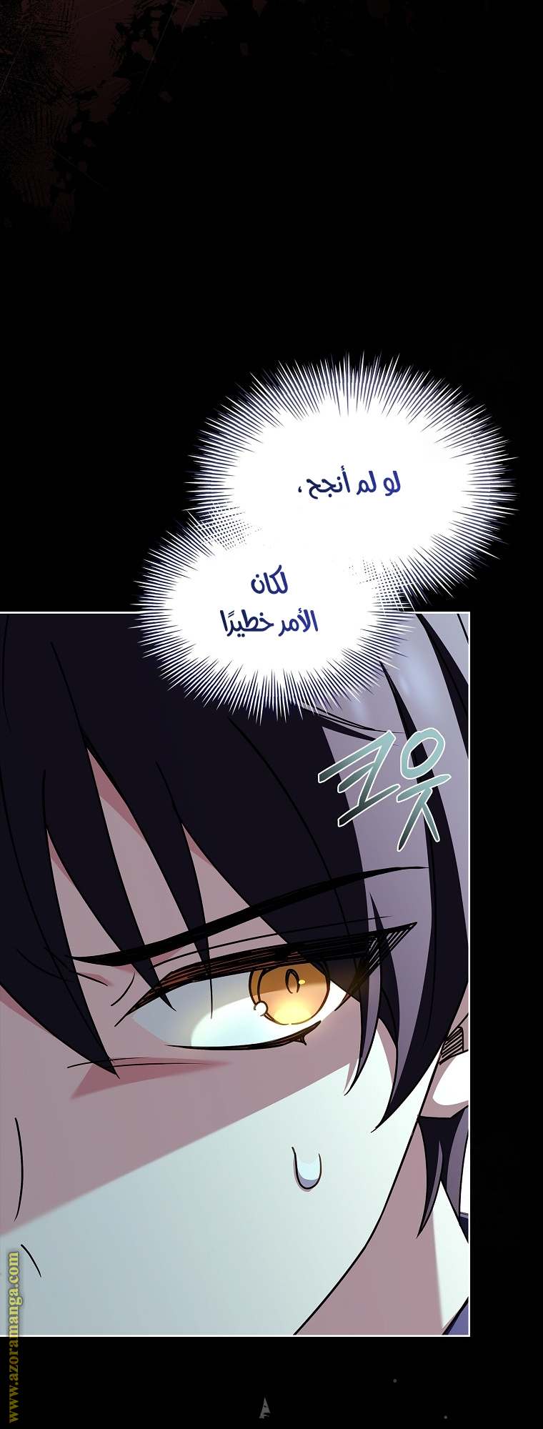 الصفحة 24