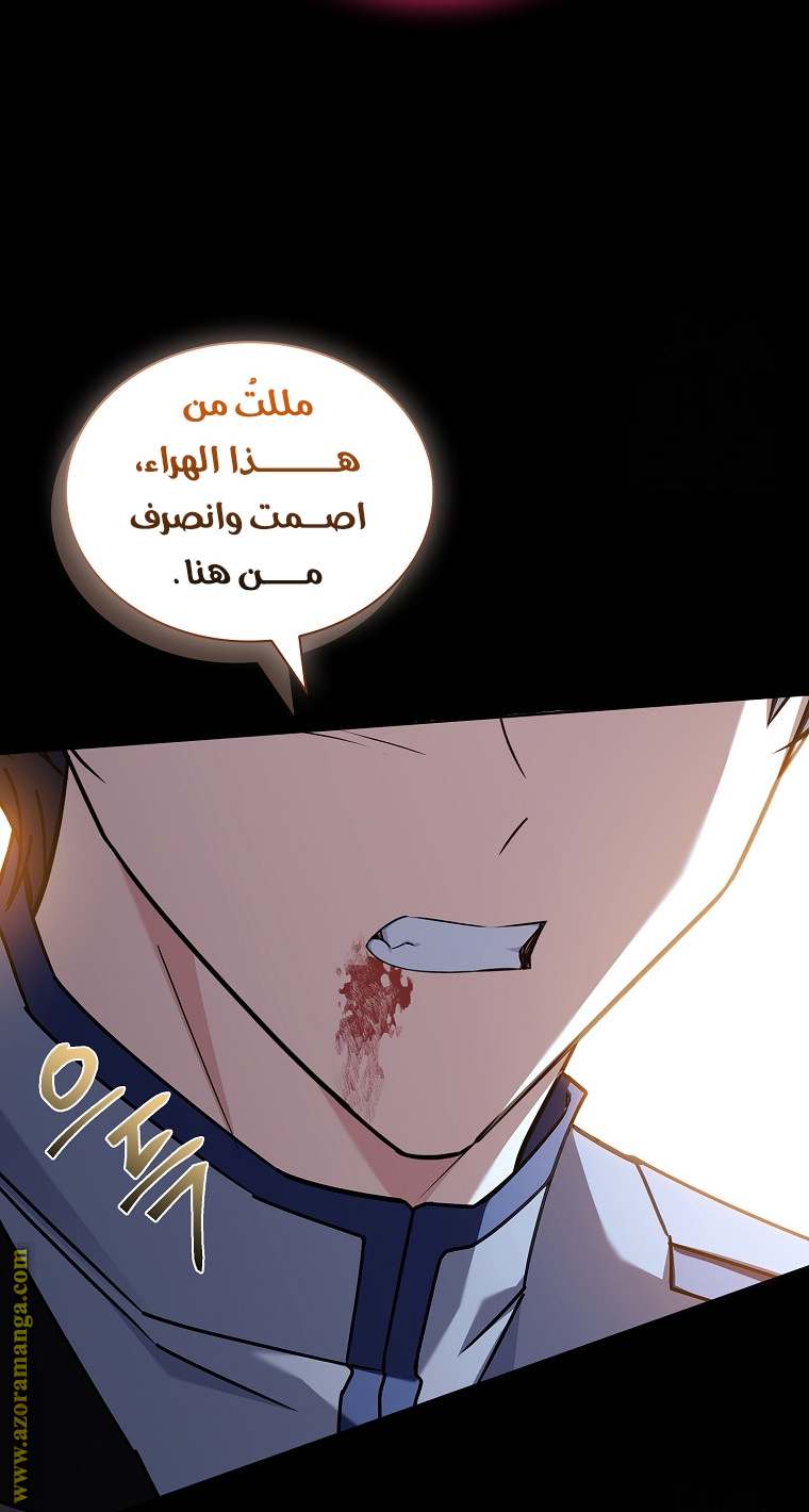 الصفحة 29