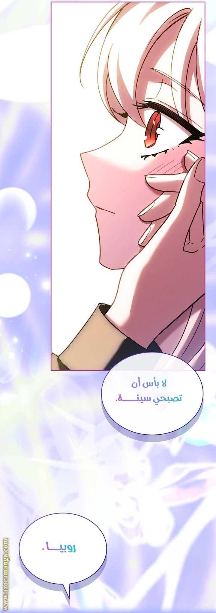 الصفحة 13