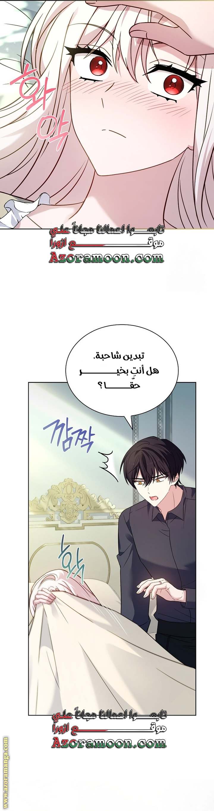الصفحة 29