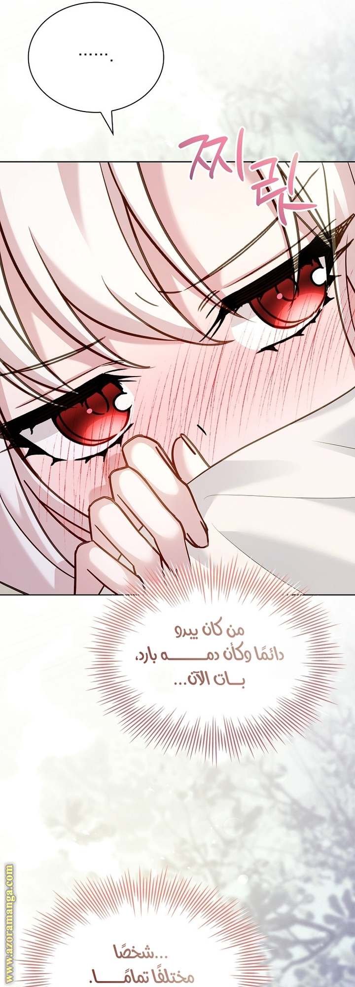 الصفحة 30