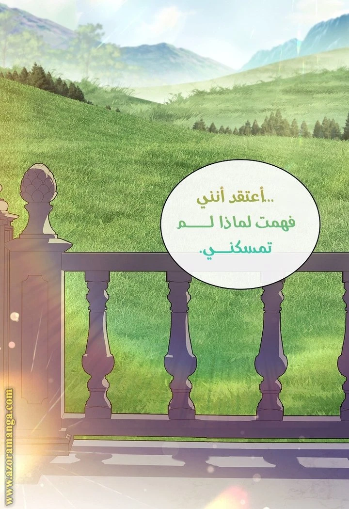 الصفحة 30
