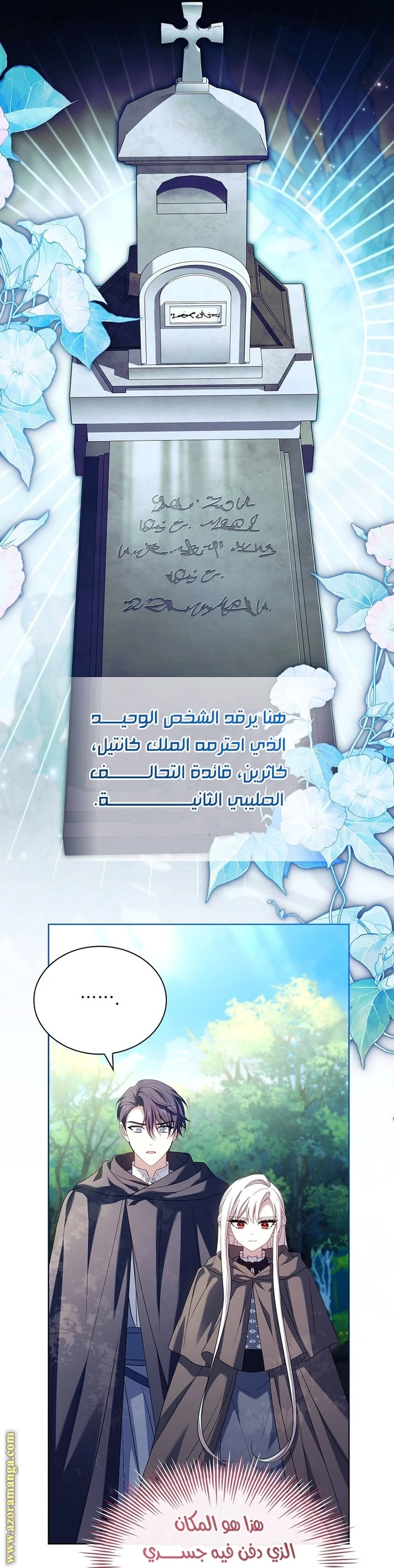 الصفحة 41